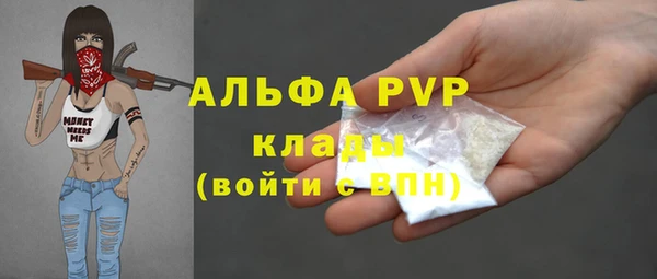меф Пересвет