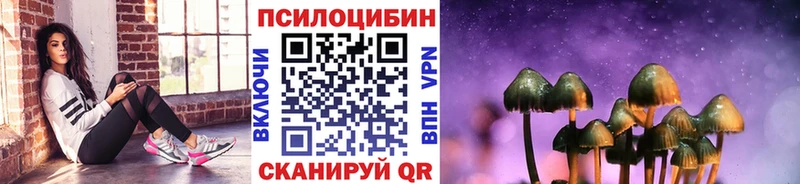 закладка  Венёв  Галлюциногенные грибы мухоморы 