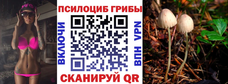 Галлюциногенные грибы Cubensis Венёв